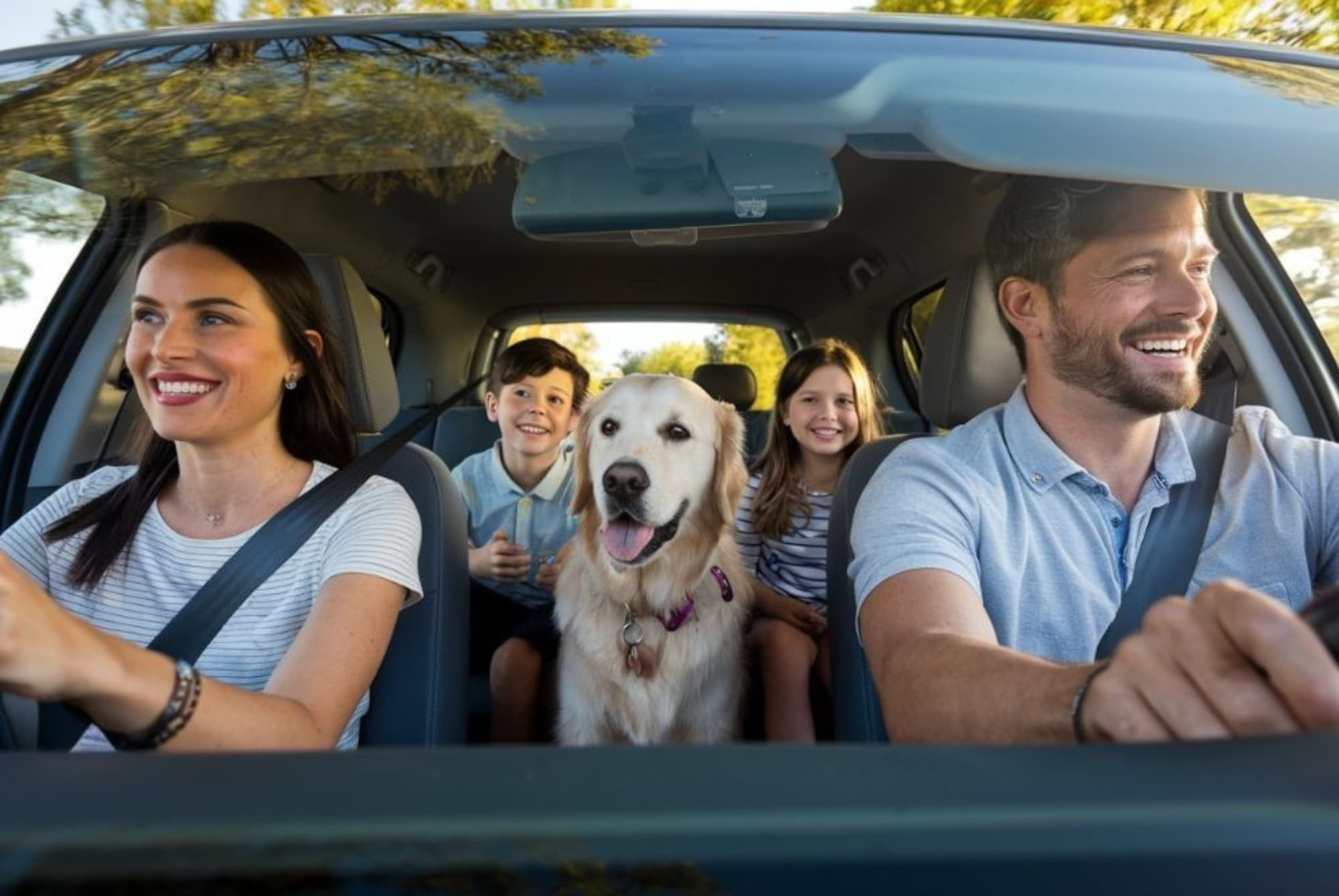 alignment services family driving